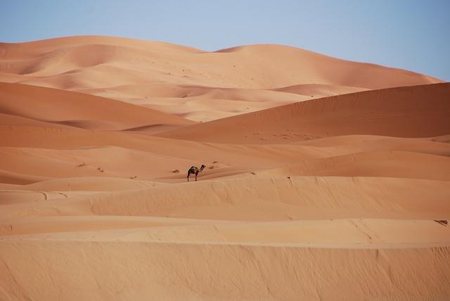 Morocco chairs 57th session of ECA – APANEWS