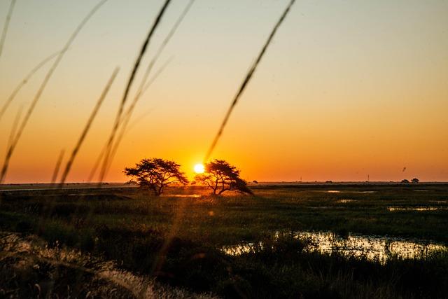 Zambia’s Kwacha Faces Pressure While African Currencies Seek Stability – Finimize