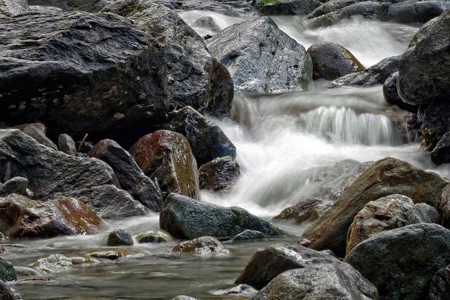 historical Context of River blindness: Lessons from Niger’s Fight Against Disease