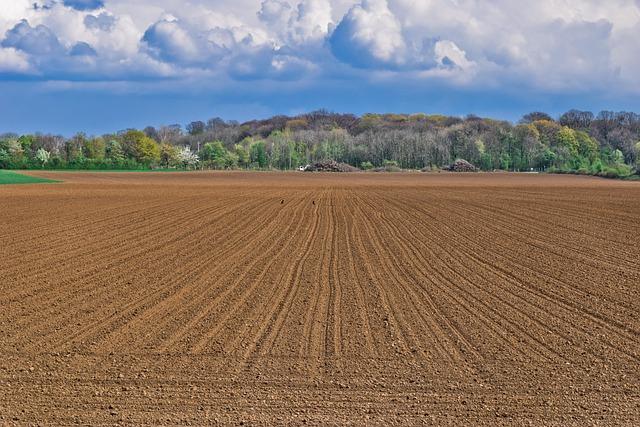 The Impact on Agriculture: Consequences of Limited Arable Land