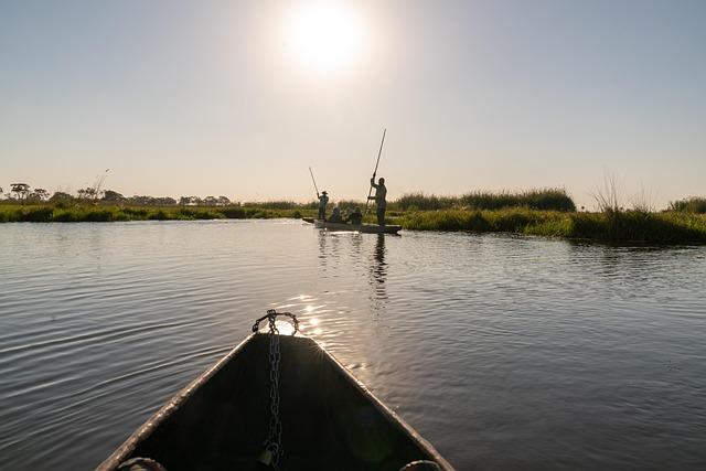 Threats ​Facing the Okavango Region: A Closer Look