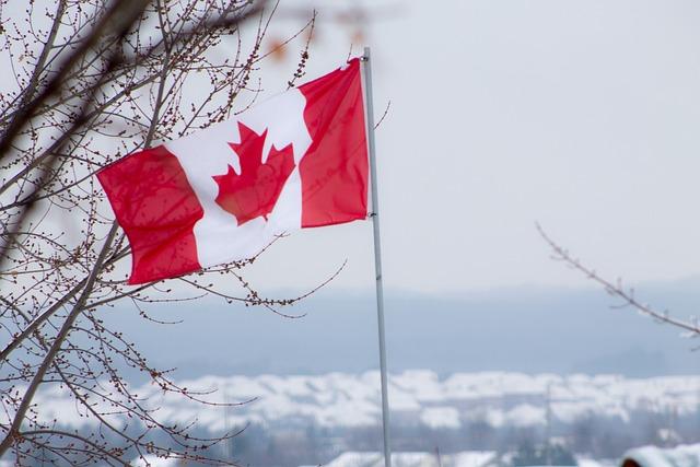 Canadian Woman Faces Legal Repercussions After Criticizing sierra Leone’s President