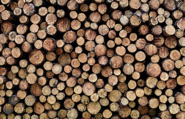 Challenges Facing the‍ Forestry Industry and Strategies‌ for Overcoming Them