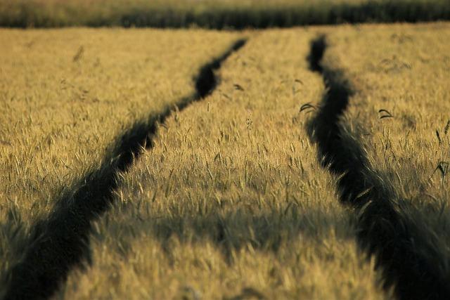 Examining the Legal Framework Surrounding Land Ownership for African Americans