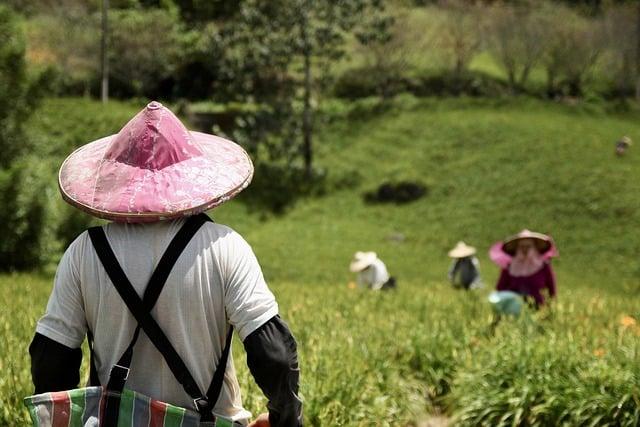 Empowering Local Farmers with Knowledge and Resources for Resilience