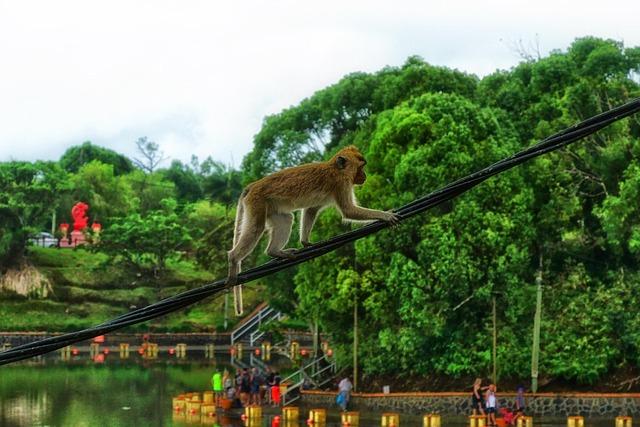 Africa’s Happiness Landscape: A closer Look at Mauritius, Sierra Leone, and Zimbabwe