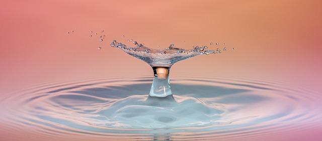Anticipating Change: The Impact of Leadership on Future Business Opportunities