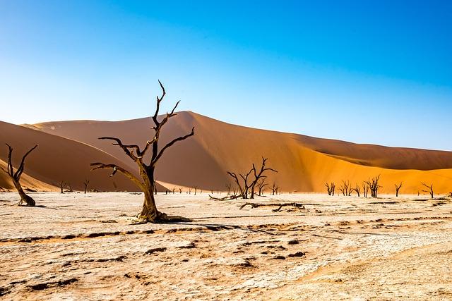 as drought Shrivels Hydro, This African Nation Pivots to Solar - Yale Environment 360