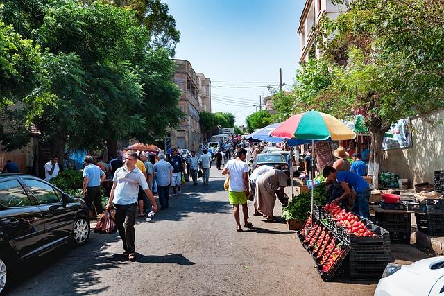 The Economic Dimensions of ‌algeria's International Outreach