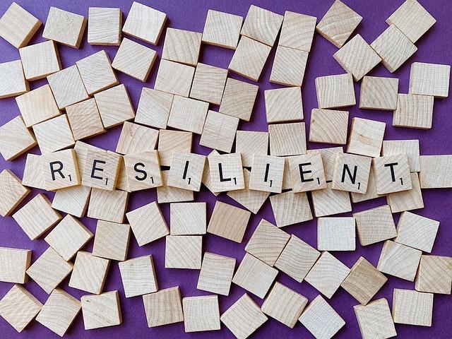 Community Resilience: Local Efforts to Mitigate the Impact of Displacement and Hunger