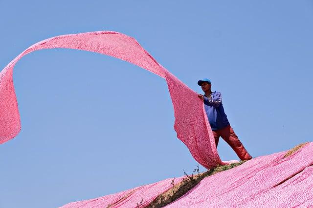 Potential Economic Impact of a Strengthened Textile Sector in ⁢Benin