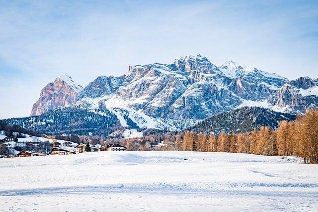 Policy Recommendations: Creating a Framework for Conservation-First tourism Development