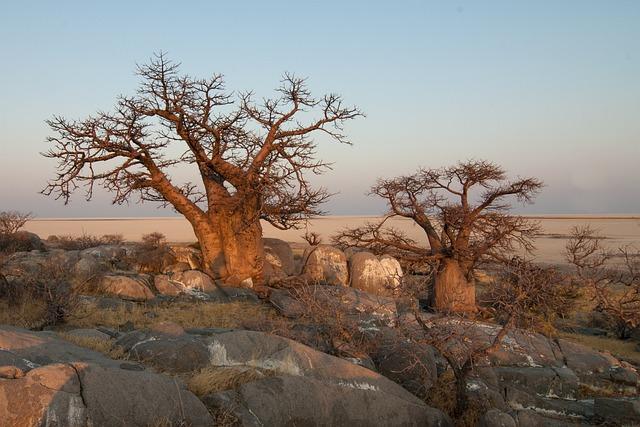 Environmental Sustainability: How ‍Botswana's Policies Reflect global Challenges