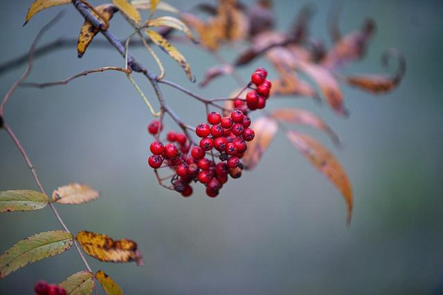 Significance of findings: Understanding Ecosystem Health and Conservation