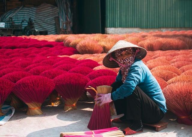 Exploring Opportunities for Job Creation in Key Sectors