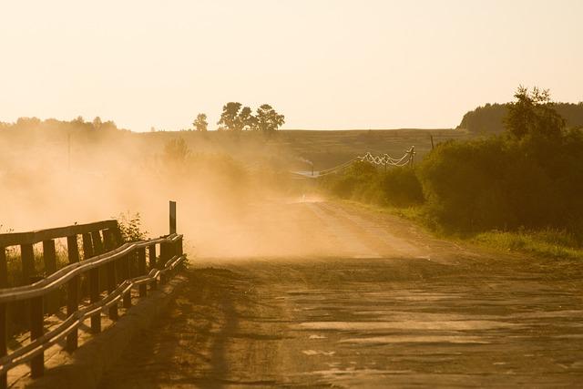 Impact of Dust Events on Local Climate and Ecosystems