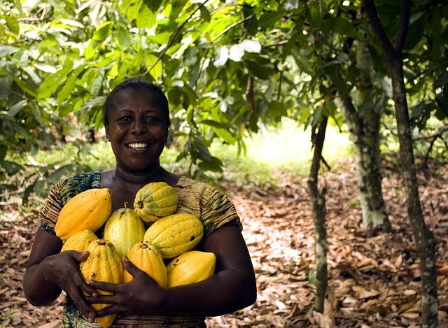 Global Trends: Aligning Sao Tome's Cocoa with International Market Demands