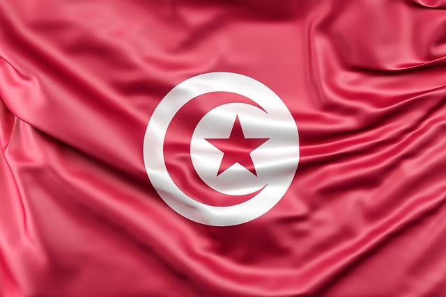 Success Stories: Tunisian Startups Making an Impact in Europe