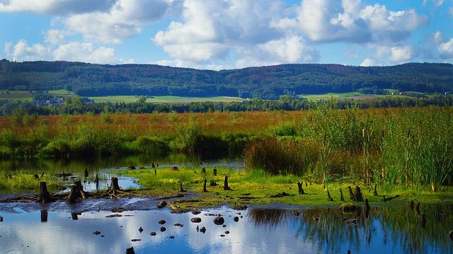 The woman leading Angola’s fight for wetland conservation | Africa Renewal - Welcome to the United Nations