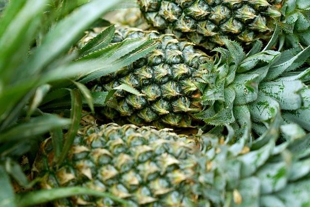 Future Prospects: Expanding ⁣Pineapple Farming⁢ and Enhancing food ‌Security