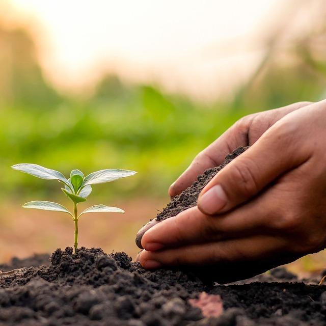 Innovative Solutions: Enhancing soil Health through Sustainable Practices