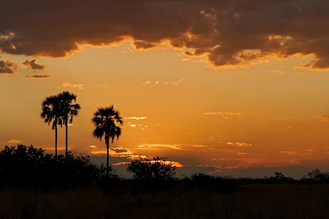 Botswana's Political Landscape: The Rise and Fall of ‌a Leadership Legacy