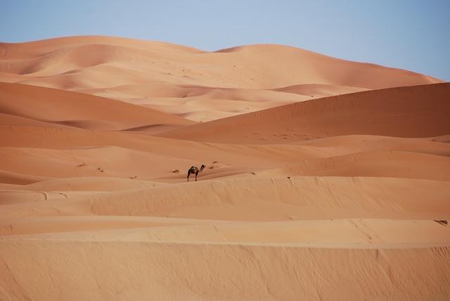 king Of Morocco, Okonjo-Iweala, Standard Bank Group, others set ‍for top African awards in Marrakesh - ⁣business Insider Africa