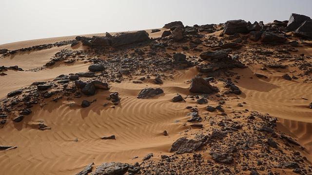 Sudan's Humanitarian crisis: Exploring the Conditions at Zamzam Camp