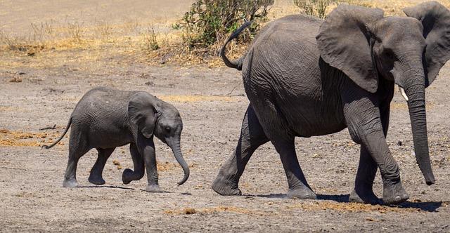 Travel Recommendations for Exploring the Serengeti and Beyond