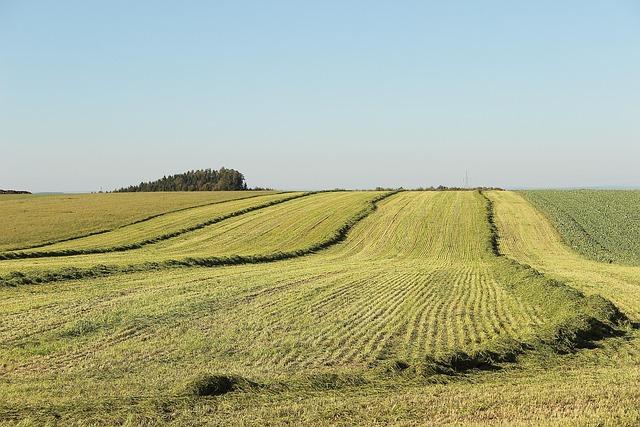 Recommendations for Stakeholders: Navigating challenges and Opportunities in Land Expropriation