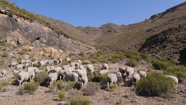Discovering the Untamed Beauty of Lesotho's Landscapes