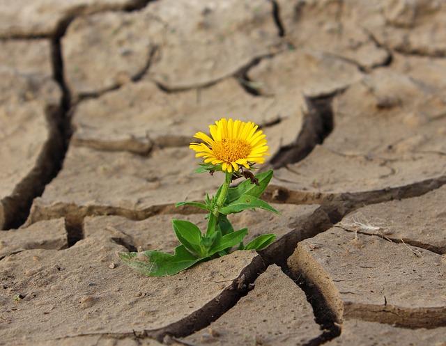 Policy Recommendations for Climate Resilience in Kenya