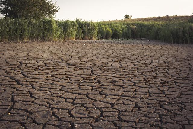 The ‍Impact of Water Scarcity on Health and Livelihoods