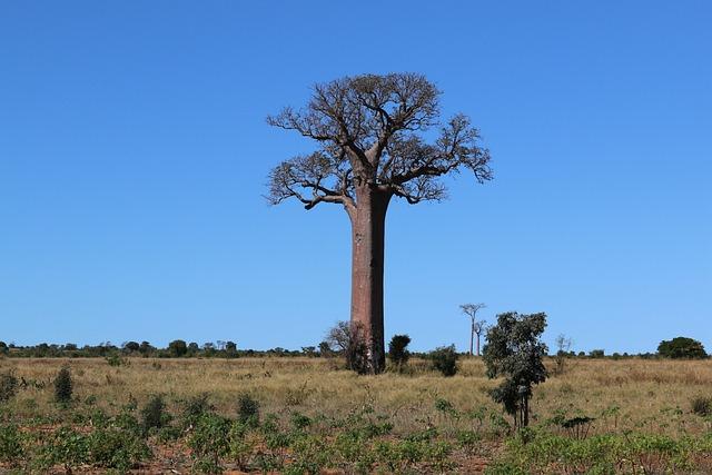 Group I Standings: Implications of Madagascar's Top Position