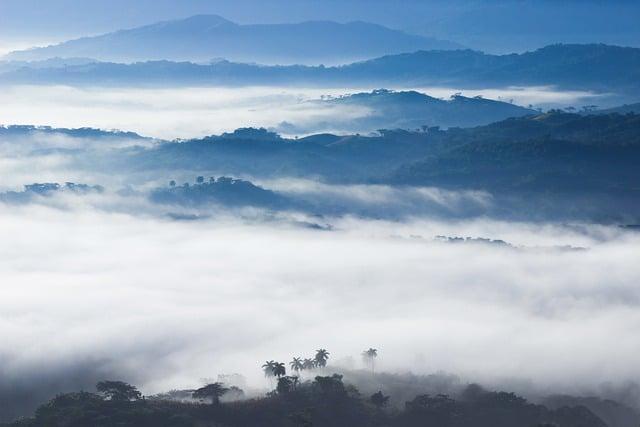 Case Studies of Triumphant Nigerian Cloud Providers