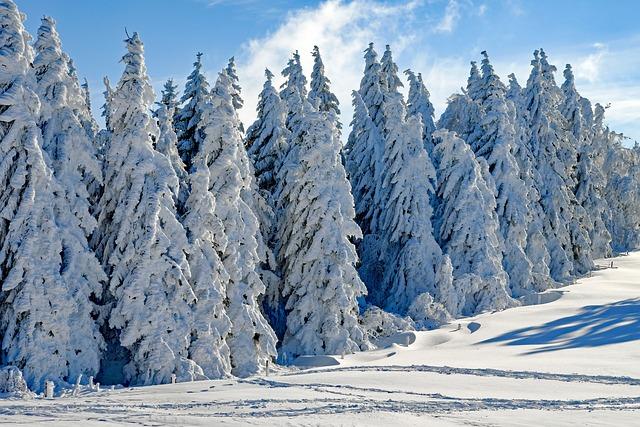 Tourism Opportunities: Exploring the Breathtaking Snow-Covered Dunes