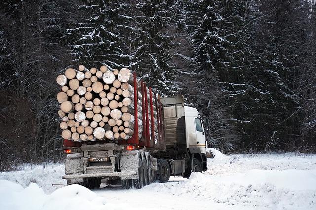 Impact of Logging and Agriculture on⁢ Biodiversity and⁤ Spiritual Practices