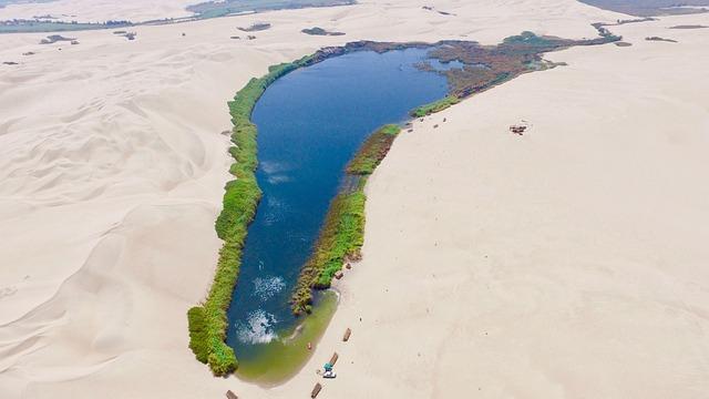 Oasis Communities: Lifelines in the Arid Terrain