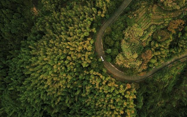 Harnessing the Power of Drones for Sustainable Farming