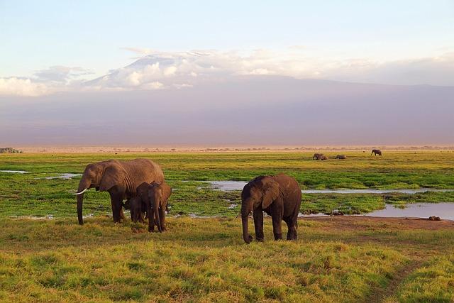 Recommendations for Kenya Airways to Mitigate Customer Discontent