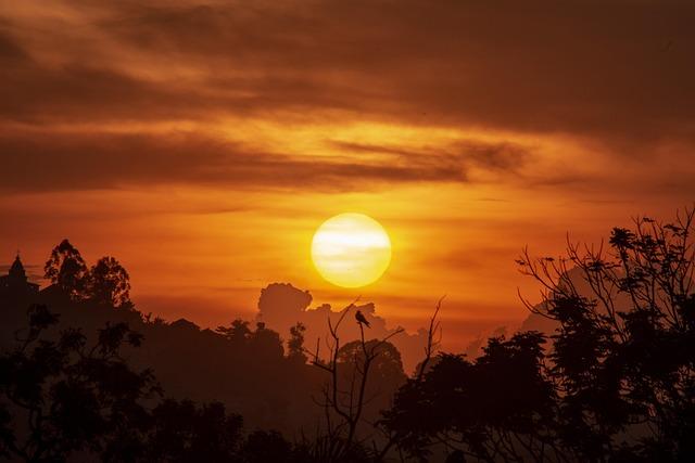 Challenges faced by Uganda's Transport Sector in Combating Air Pollution