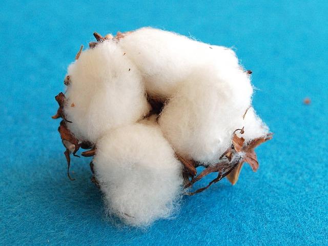 The Role of Environmental practices in Enhancing Cotton Quality and Marketability