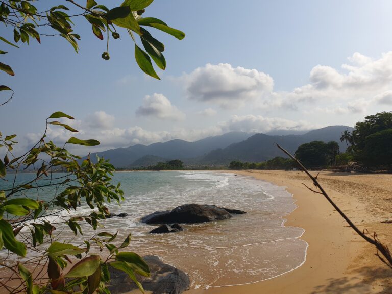 Sierra Leone reaches historic milestone as malaria vaccination launched – WHO | Regional Office for Africa