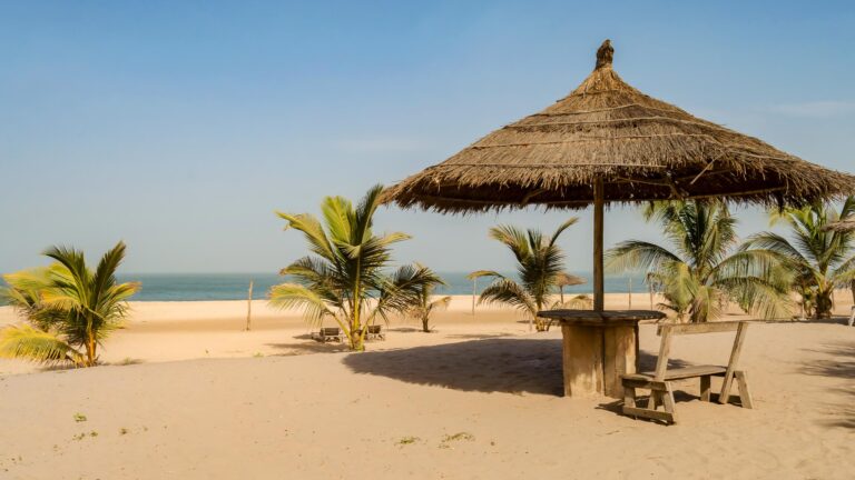 Gambia to eliminate tariffs on 90% of goods traded within Africa – The Point.gm