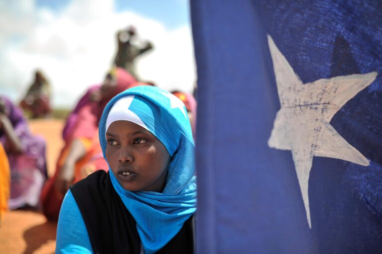 Somalia, Turkey leaders reaffirm strategic partnership, bolstering Ankara’s foothold in Horn of Africa – The North Africa Post