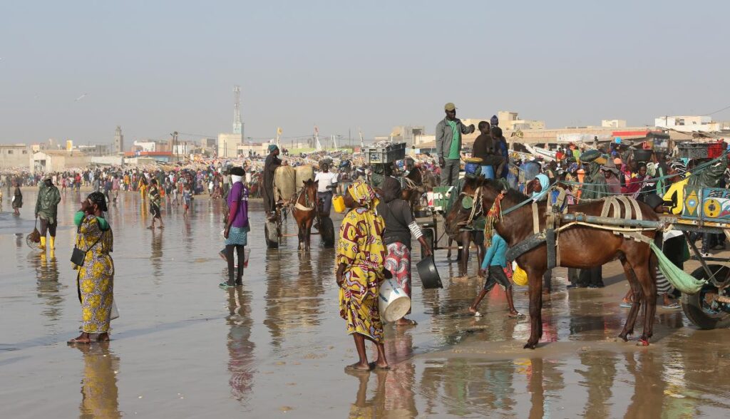 Senegal Prepares to Host Africa’s First Olympic Event – allAfrica.com