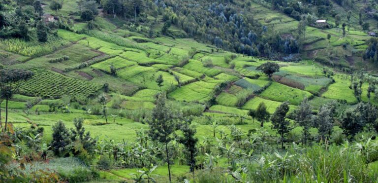Burundi Says Rwanda Has a Plan to Attack It; Kigali Denies | Firstpost Africa – Firstpost