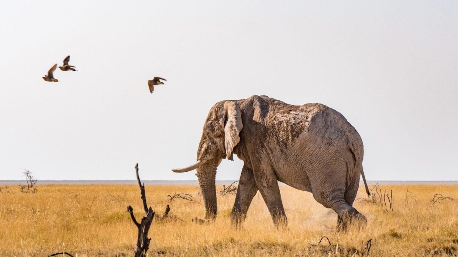 Opinion – #Namibia: Africa’s best-kept secret – New Era Namibia
