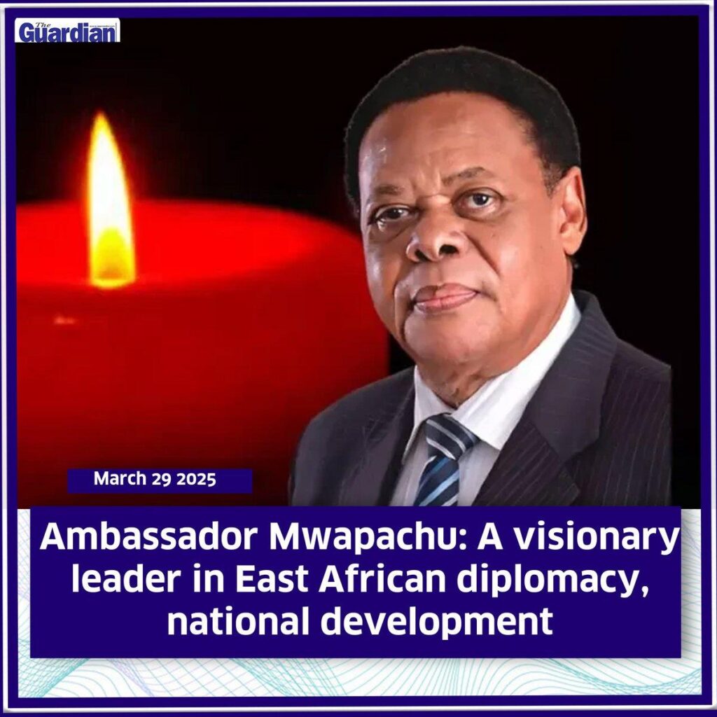How Mwapachu shaped democracy and the political space in Tanzania – The EastAfrican