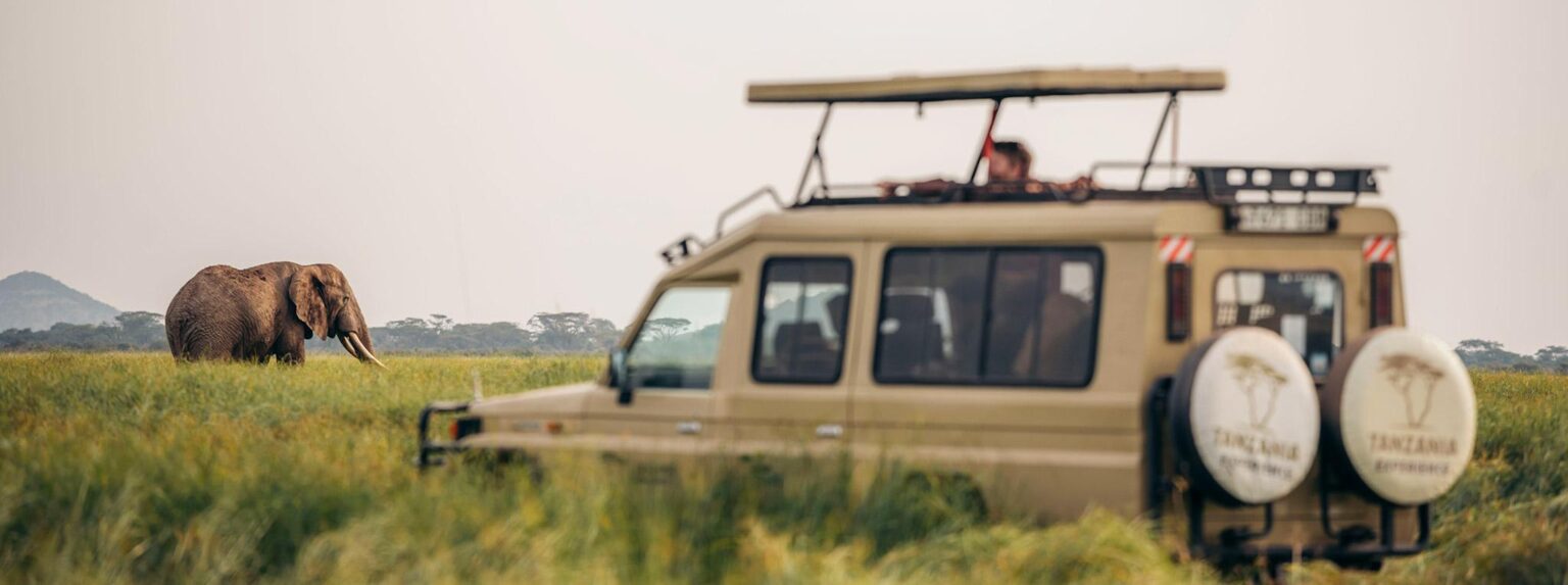 How to sell safaris — and sell them right – Travel Weekly